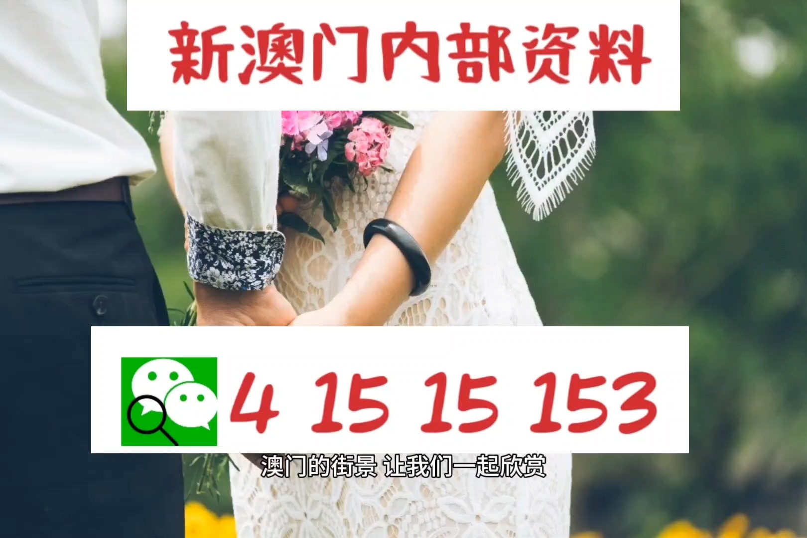 2025新澳正版今晚资料，合法性解答与解释落实的深度剖析