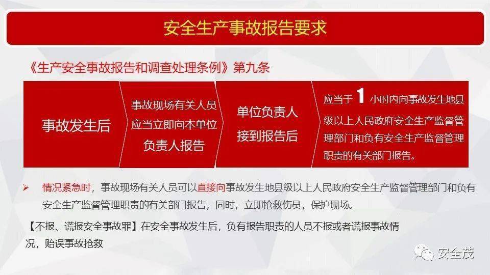 2025新澳门最精准免费大全全面释义、解释与落实
