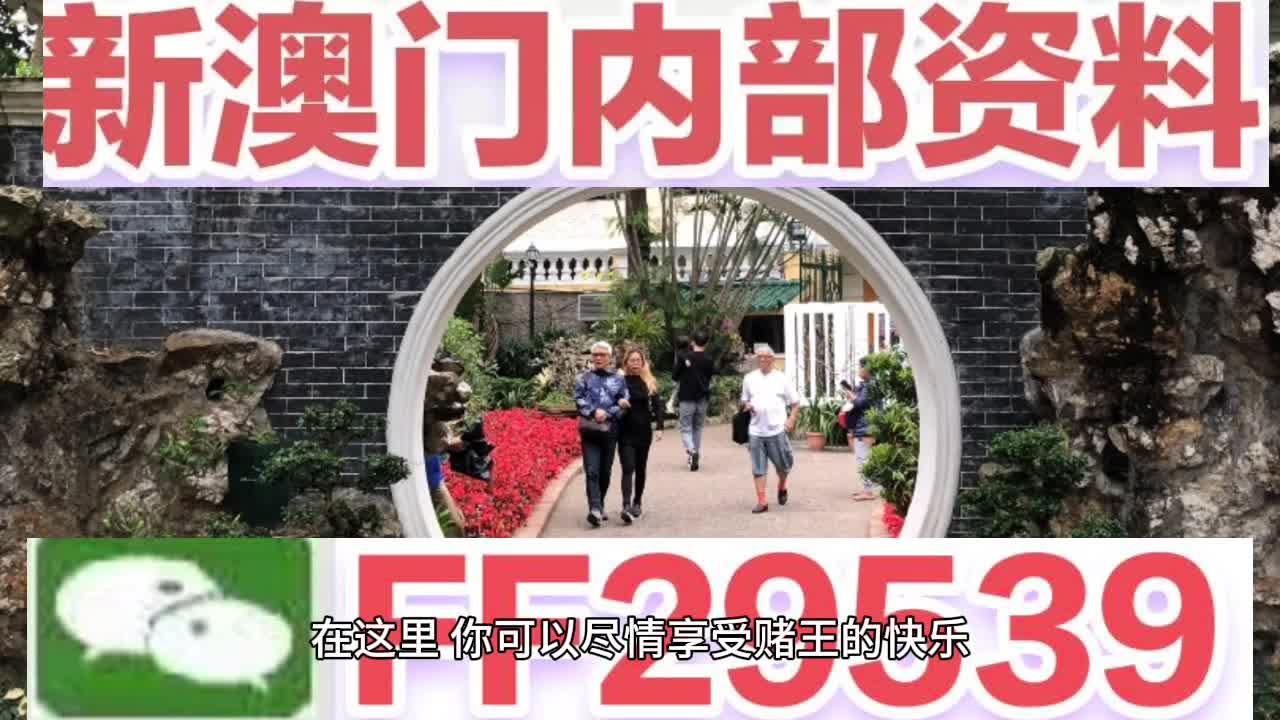 2025新澳门天天官方免费大全实证解答与解释落实